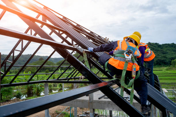Roof Waterproofing Services in Mount Olive, IL