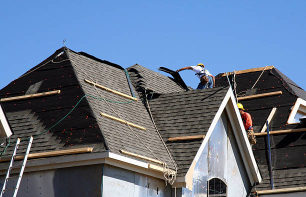 Best Roof Leak Repair  in Mount Olive, IL