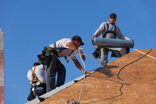 Best Shingle Roofing Installation  in Mount Olive, IL