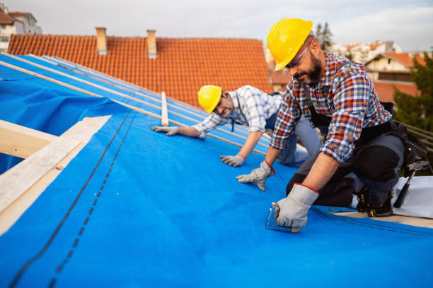 Best Storm Damage Roof Repair  in Mount Olive, IL